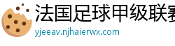 法国足球甲级联赛